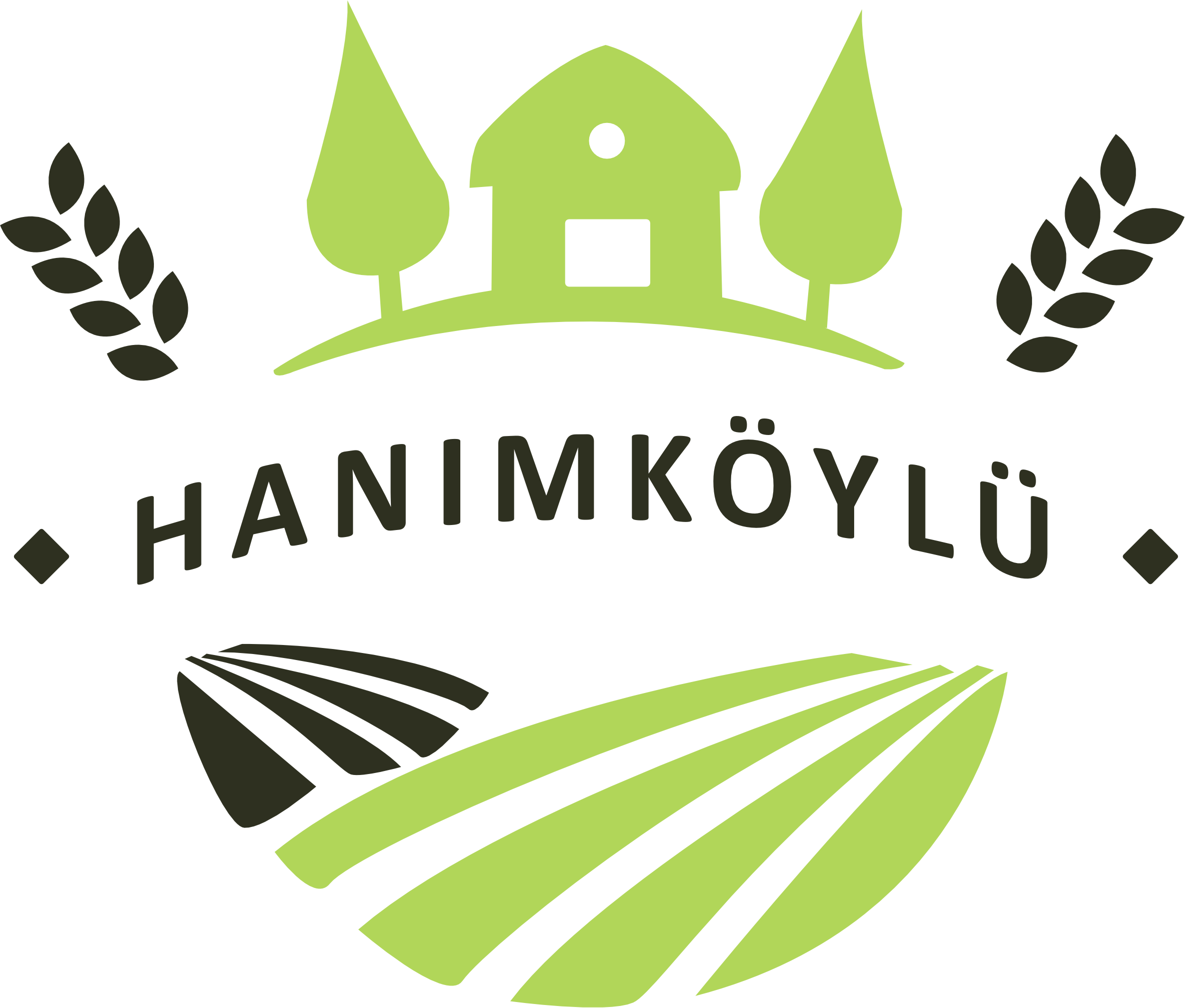 hanimkoylu2