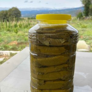 salamura tokat yaprağı 5 kg