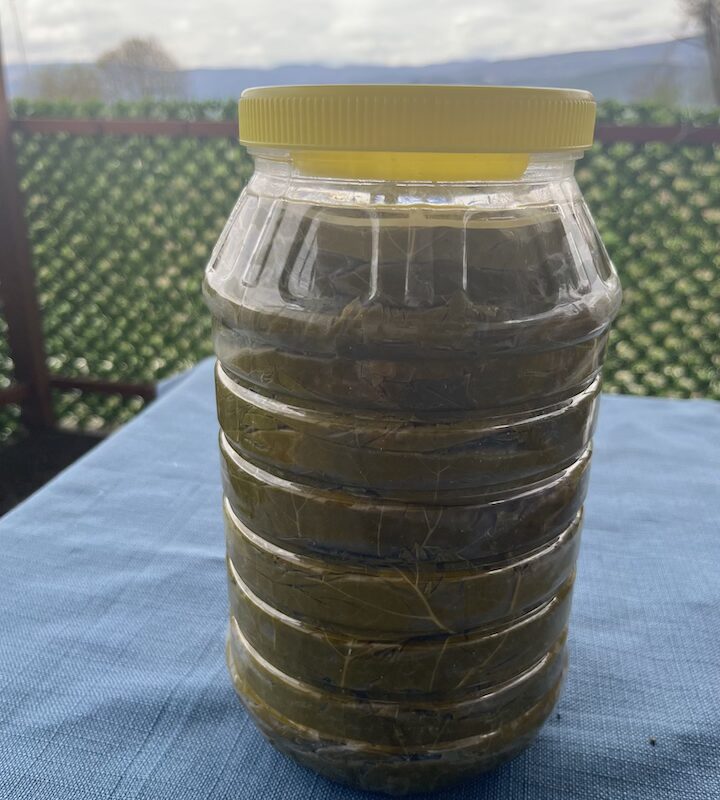 Tokat Niksar Asma Yaprağı 3 kg (Kuru Basım)