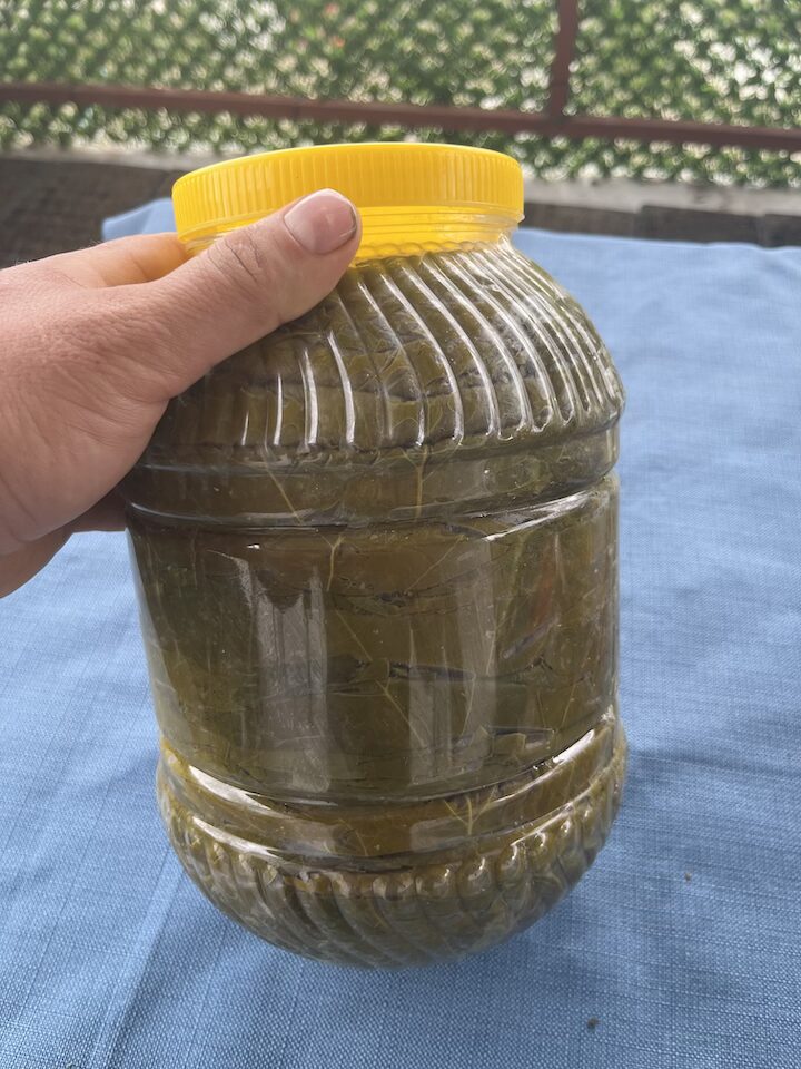 Tokat Niksar Asma Yaprağı 5 kg (Kuru Basım) - Görsel 2