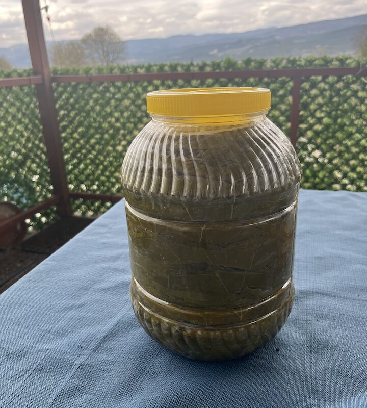 Tokat Niksar Asma Yaprağı 5 kg (Kuru Basım)