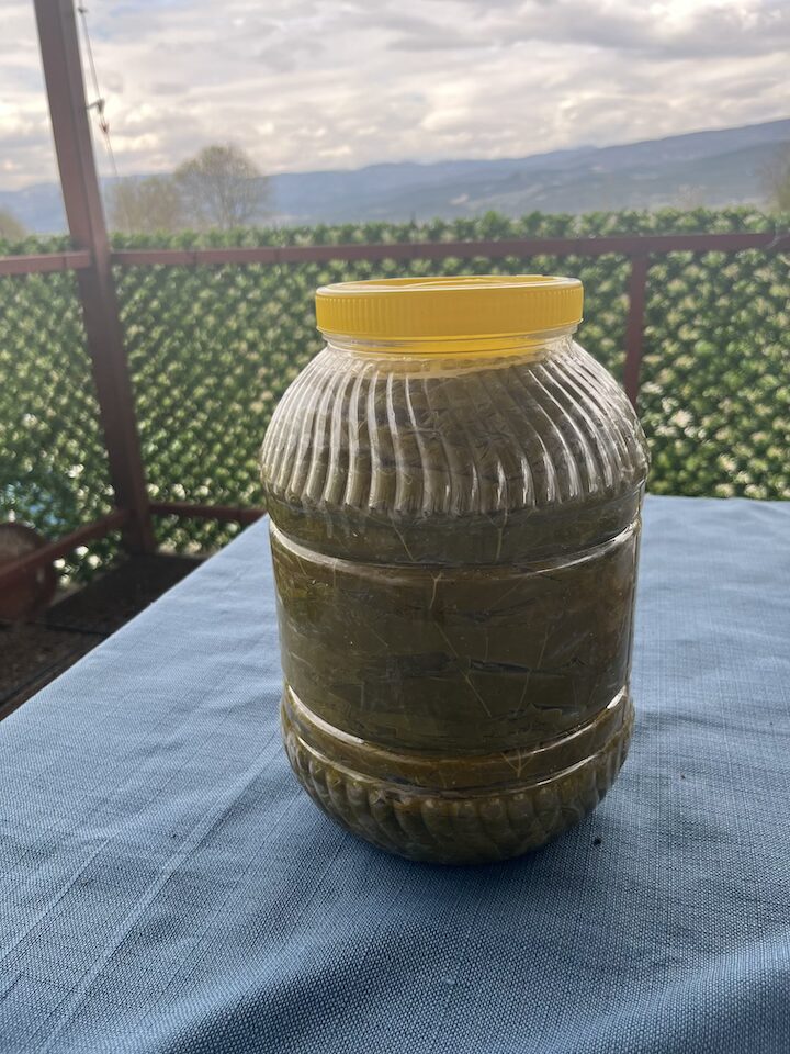 Tokat Niksar Asma Yaprağı 5 kg (Kuru Basım)
