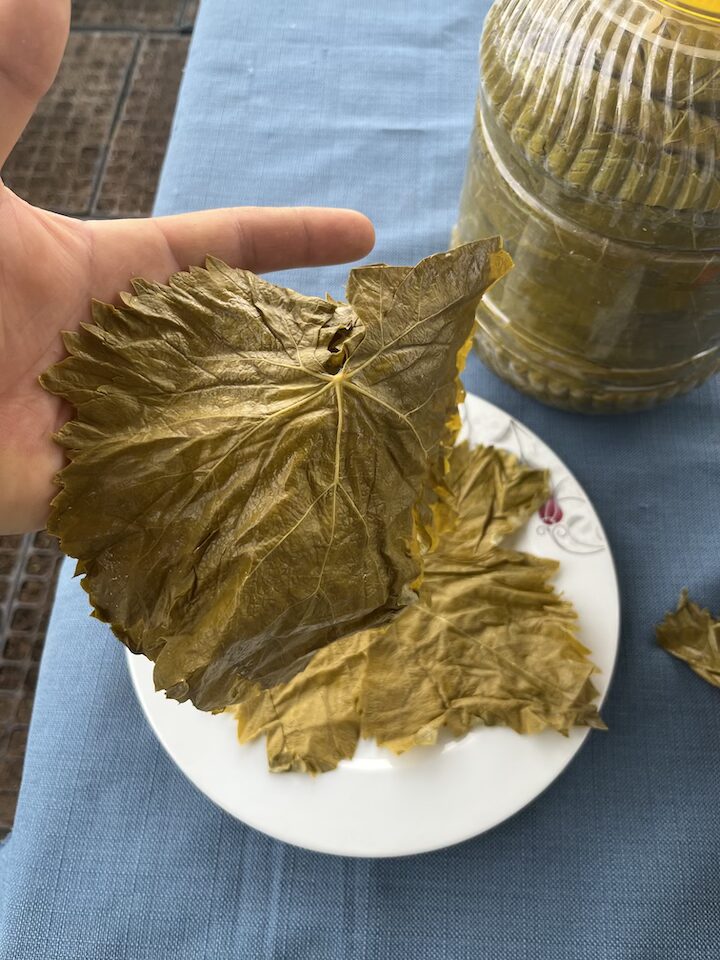 Tokat Niksar Asma Yaprağı 5 kg (Kuru Basım) - Görsel 4