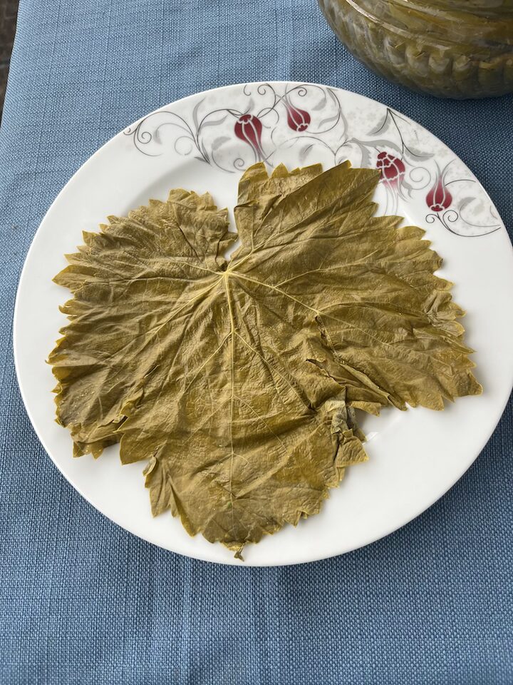 Tokat Niksar Asma Yaprağı 5 kg (Kuru Basım) - Görsel 3